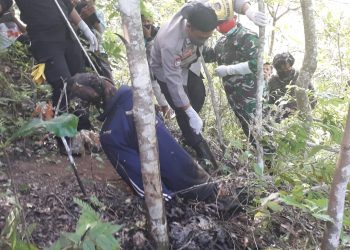 Warga Sembalun Ditemukan Meninggal Tergantung Pada Seutas Tali Di Pohon