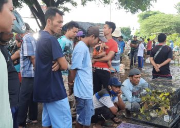 Himbauan Bupati Lotim Soal Wajib Gunakan Masker Belum Dijalankan Penuh Masyarakat‎