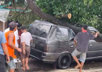 Naas Mobil Warga Songak Hancur Ketimpa Pohon Tumbang