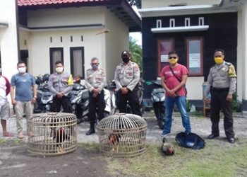 Polsek Suralaga Gerebek Lokasi Judi Sabung Ayam