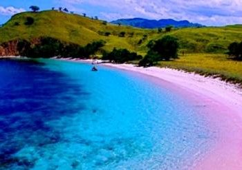 Pantai Pink, Pantai Lombok Nan Unik Dengan Berjuta Pesona
