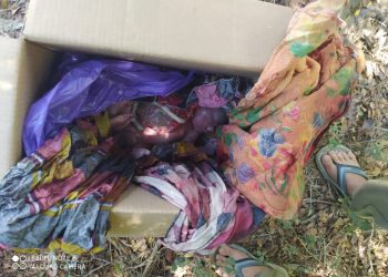 Geger, Warga Temukan Orok Bayi Di Lapangan Rambang