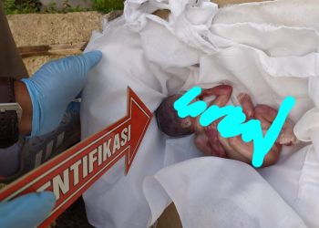 Geger, Warga Kalteng Temukan Orok Bayi Di Sungai Kokok Daya