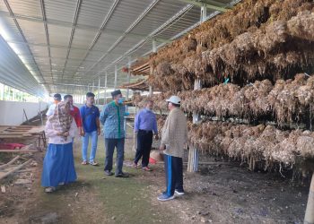 H. Najamudin Mustafa Sukses Membangun Gurita Ekonomi Di Sektor Pertanian