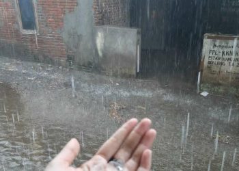 Hujan Es, Angin Kencang Disertai Pohon Tumbang Terjadi Di Lotim