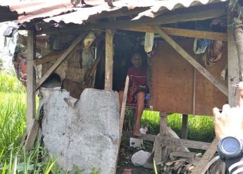 Kasihan, Kakek 75 Tahun Hidup Sebatangkara di Berugak Pematang Sawah