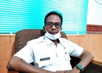 Ratusan Sapi Masih Belum Disalurkan, Kadispertan Loteng, Masih Mencari