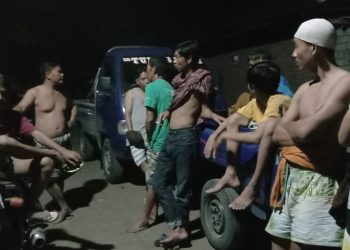 Kawanan Maling Ternak Di Lombok Timur Curi Kerbau Sekandang