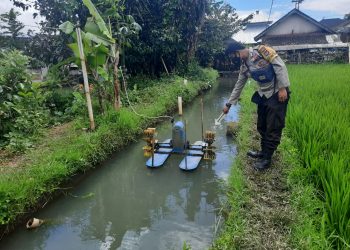 Geger, Nenek Umur 75 Tahun Di Lombok Timur Ditemukan Meninggal Mengapung  Dalam Kolam Ikan