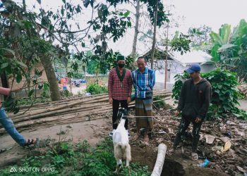 Saipul Wathan, ketua HMI Cabang Selong Sedang Menyerahkan Hewan Korban Kepda Masyarakat