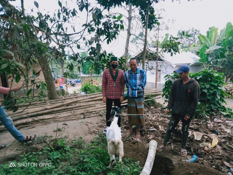 Saipul Wathan, ketua HMI Cabang Selong Sedang Menyerahkan Hewan Korban Kepda Masyarakat