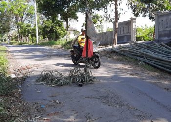 Jalan Rusak dan Berlubang di Suralaga Lombok Timur Ditanami Pohon Bambu