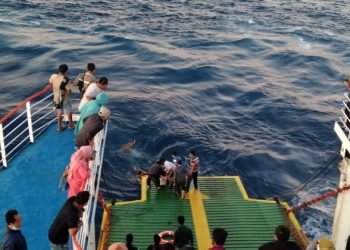 Diduga Patah Hati,Warga Bima Ceburkan Diri Dari Atas Kapal Ke Tengah Laut