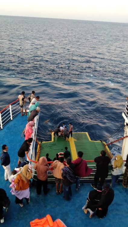 Diduga Patah Hati,Warga Bima Ceburkan Diri Dari Atas Kapal Ke Tengah Laut