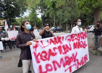 Bupati Lotim Didesak Kembalikan Pejabat Bergelar S,Pd,Teknik dan Kesehatan Ke Habitatnya