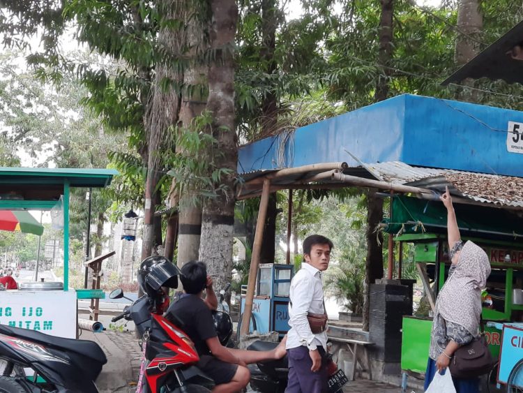 Pedagang Taman Kota Selong Terjatuh Dari Pohon Setinggi 15 Meter,Saat Tangkap Burung