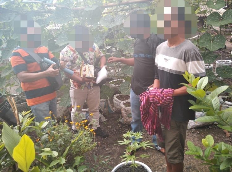Pelaku Asal Loteng Tanam Barang Haram Dirumahnya Ditangkap Polisi