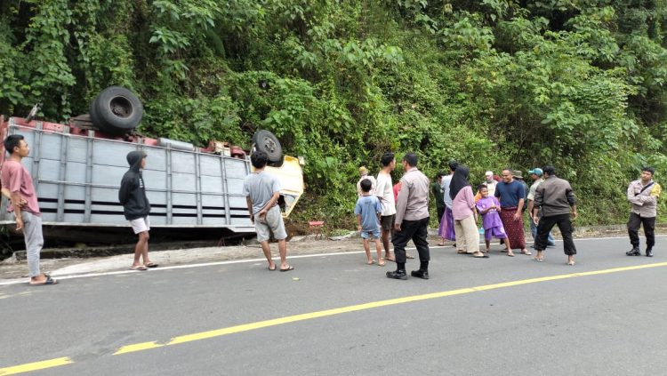 Truck Pengangkut Kelapa dan Pisang Terguling di Sembalun