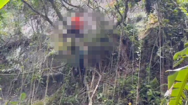 Kakek Umur 70 Tahun di Lotim Ditemukan Meninggal Membusuk Tersangkut di Pohon
