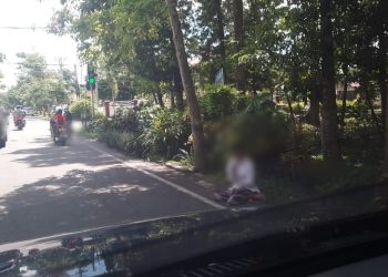 Waduh, Pengemis Asyik Duduk Minta-minta Depan Kantor Bupati Lotim, Pol.PP Kemana 