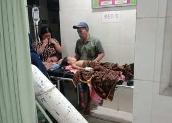 Sekelompok Anjing Liar Gigit Balita di Lotim di Pematang Sawah‎