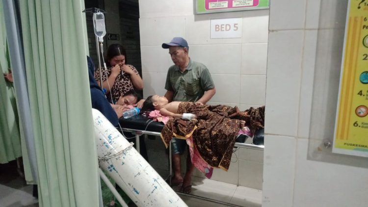 Sekelompok Anjing Liar Gigit Balita di Lotim di Pematang Sawah‎