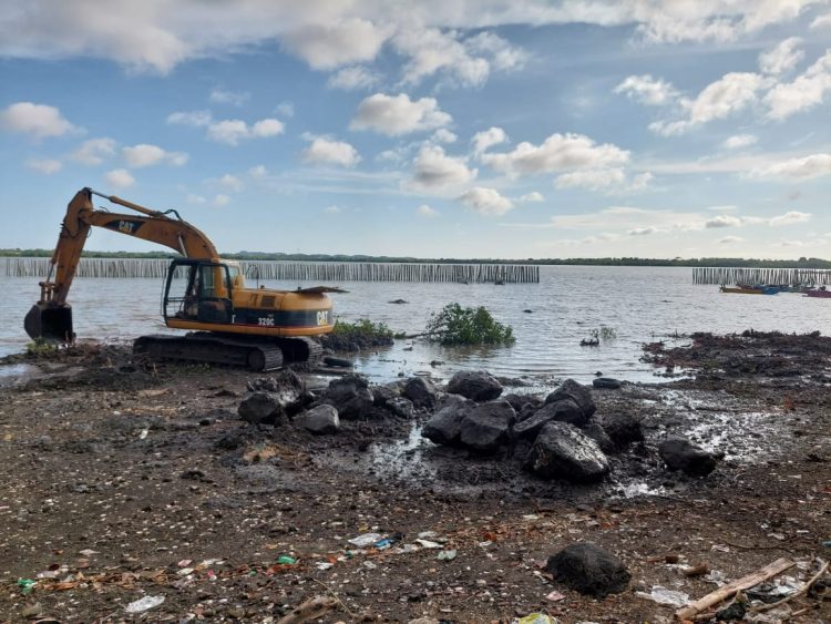 Demi Alasan Tambatan Perahu, Pohon Mangrove di Pantai Jor  di Rusak Dengan Alat Berat
