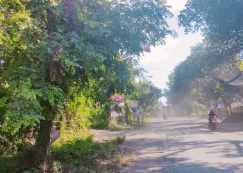 Jalan Provinsi Jurusan Tanjung-Pohgading Lotim Rusak Parah