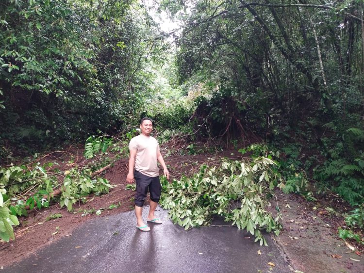 Longsor Tutupi Jalan Suela-Sembalun Lombok Timur