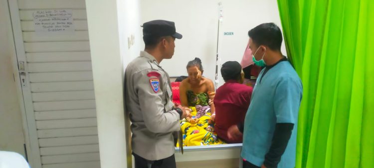 Pasutri dan Cucunya di  Sembalun Lombok Timur Diserang Babi Hutan 