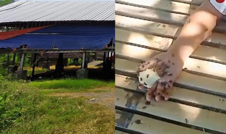 Kandang Ayam di Montong Belae Bikin Resah Warga, Minta Ditutup