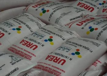 Pemkab Lotim Ngaku Dapat Tambahan Pupuk Banyak, Harga Mencekik, Langkanya Minta Ampun