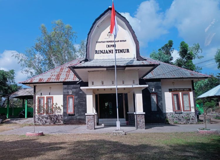 Ketua FORESTH Minta Polisi ikut Terlibat Tangani Oknum Penebangan Kayu Hutan