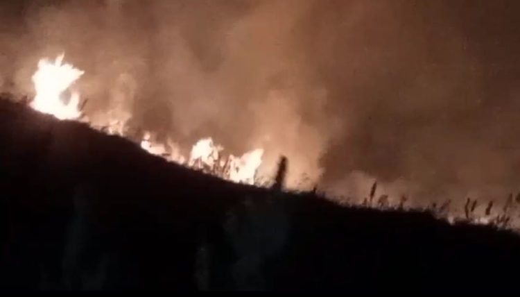 Bukit Anak Dara Sembalun Kebakaran