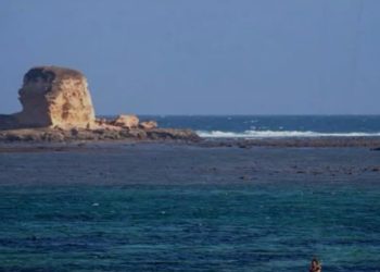 Kegiatan Bau Nyale di Lotim Dipusatkan Empat Lokasi