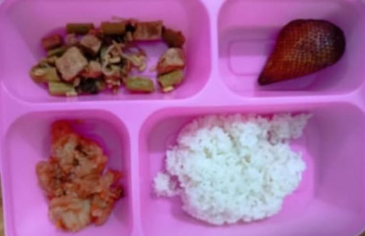 Dibalik Makan Gratis, Siswa di Kecamatan Selong Keluhkan Menu Hingga Buah Rusak