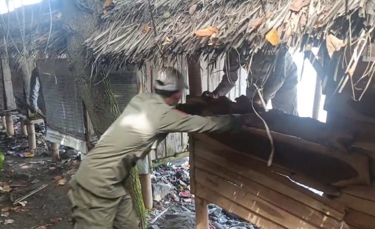 Pol PP Bongkar Lapak Remang-remang di Kawasan Pantai Labuhan Haji