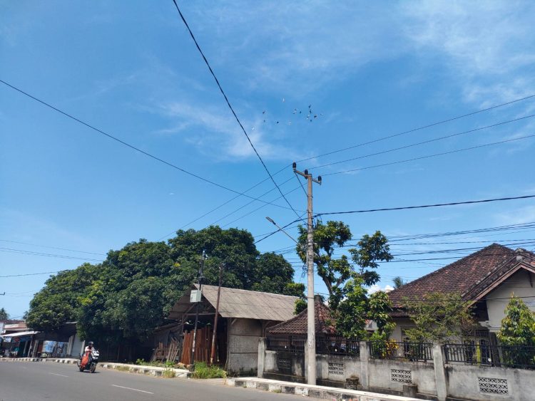 Kepala Bapenda Lotim Sebut Bayar Angin, Lampu PJU Banyak Mati