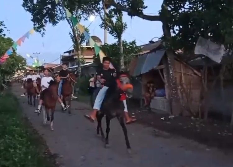 280 Ekor Kuda Pilihan Ramaikan Adat Tiu Warga Jantuk Lombok Timur