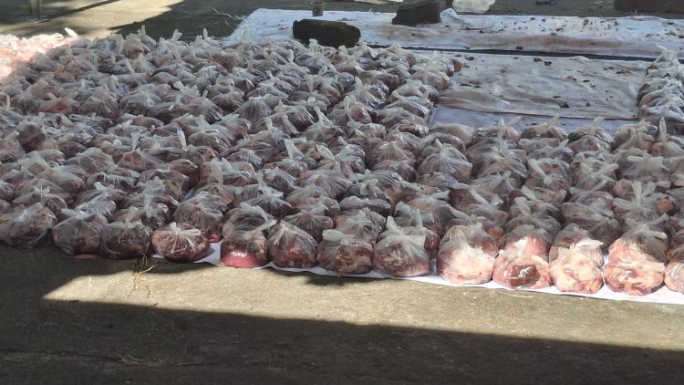 Kemenag Lotim Sembelih 8 Ekor Sapi Qurban