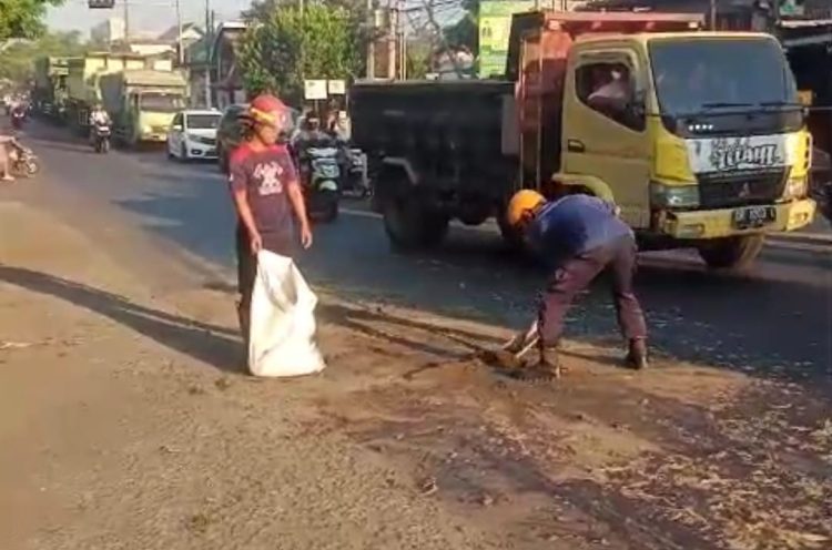 Petugas Damkarmat Lotim Bersihkan Ceceran tumpukan Bangkai Ayam di Jalur Negara