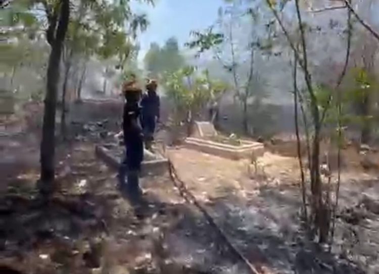 Lahan Pekuburan di Lotim Ludes Terbakar