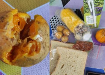 Buah MBG Rusak dan Berulat, Kades Danger Ancam Laporkan Dapur MBG Lendang Nangka 2