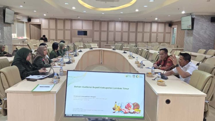 Bupati Lotim Audiensi dengan Bappenas