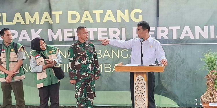 Mentan Tetapkan NTB Sentra Bawang Putih Nasional