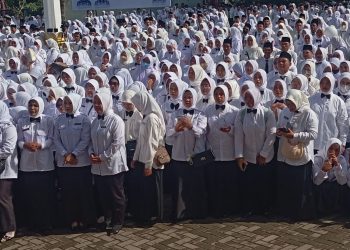 Gaji 400 Ribu Guru PPPK PW di Lotim Menggantung, SE Bupati Bikin Pusing