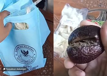 Menu MBG di Jerowaru Diduga Berisi Salak Busuk, Video Unboxing Warga Viral di Medsos