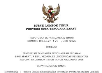ASN Jabatan Ahli Madya di Prank Pemkab Lotim, Soal TPP Setara Eselon 3