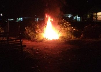 Maling Alpukat di Sembalun Kabur, Sepeda Motor Dibakar Warga