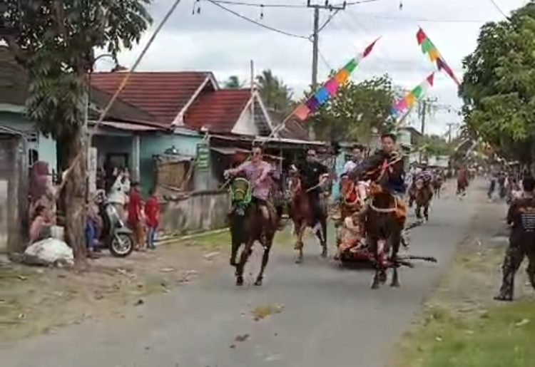 Viral Tragedi Penunggang Kuda Saling Bertabrakan Tradisi Tiyu di Lotim